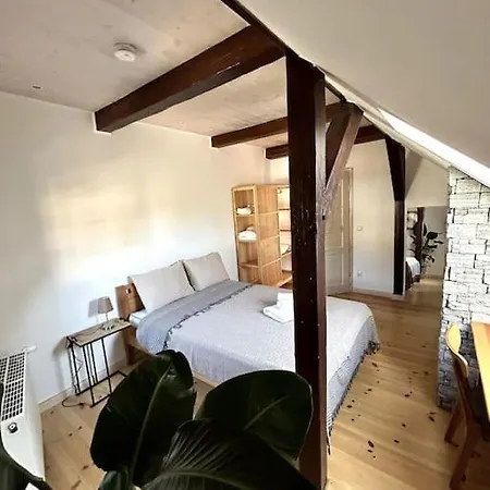 Loft In Historischer Schmiede Daire *